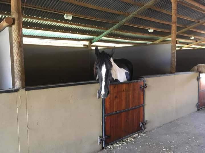 3 Bedroom Property for Sale in Bredasdorp Western Cape